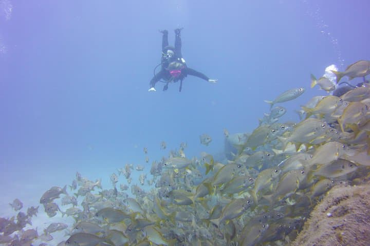 praxis dive at Playa las Vistas