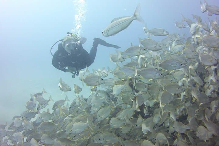 Dive Site Las Vistas