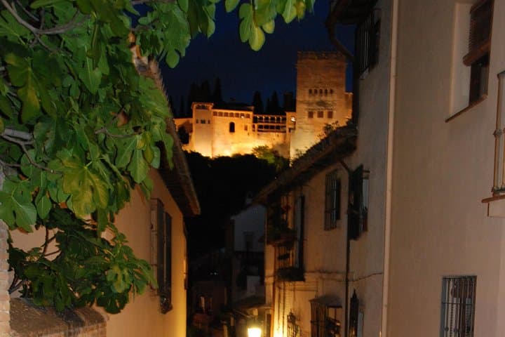Alhambra: Night Visit to Nasrid Palaces