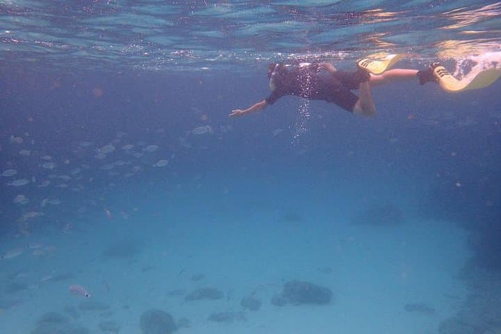 Mallorca: Snorkeling in a Beautiful Nature Reserve