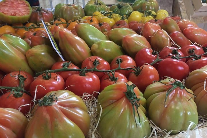 Fresh Spanish tomatoes.