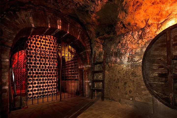 Ribera del Duero Underground Cellar & Wine Tasting Experience