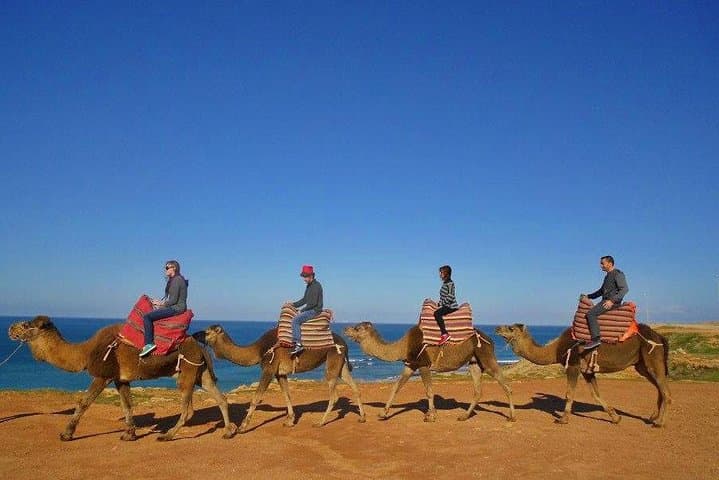Camel ride