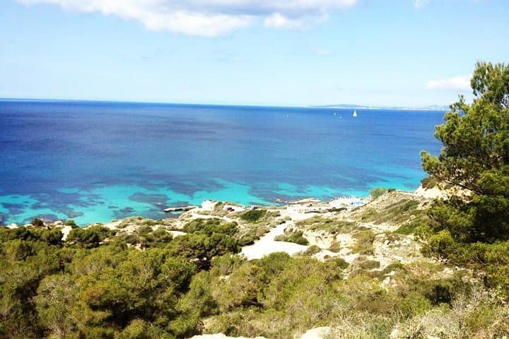 Mallorca: Snorkeling in a Beautiful Nature Reserve