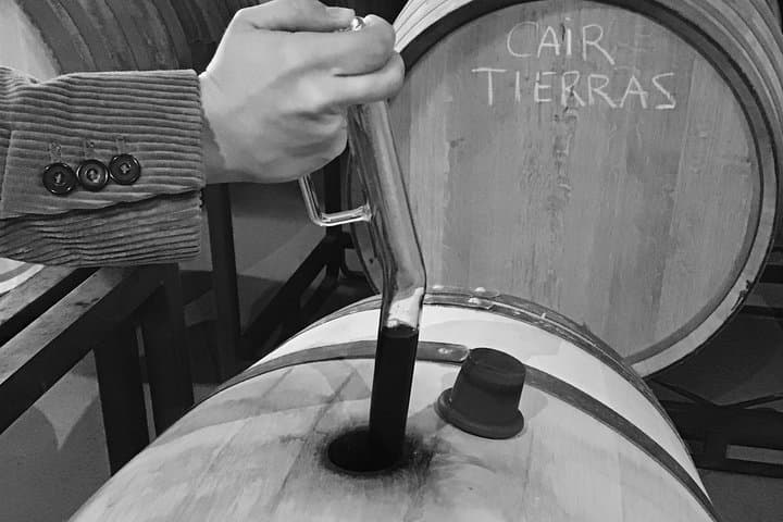 Wine tasting directly from barrels, a unique opportunity in Ribera del Duero