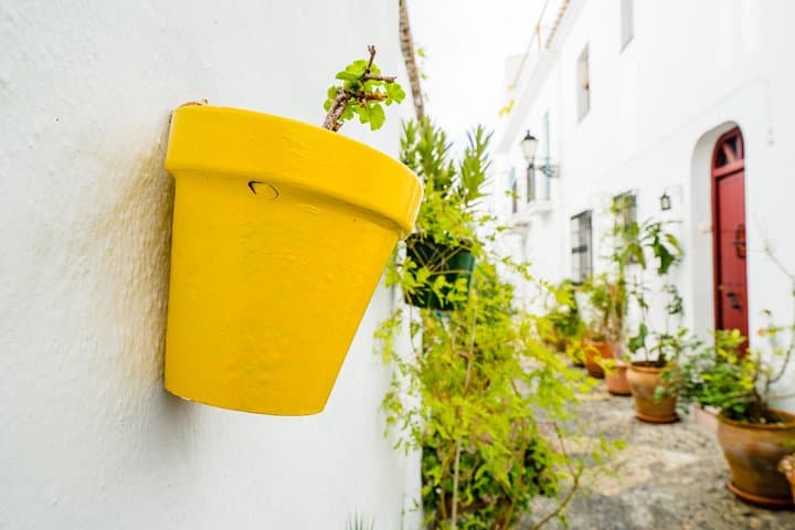 Nerja & Frigiliana Day Trip w/ Skip-Line from Granada (Max. 8)