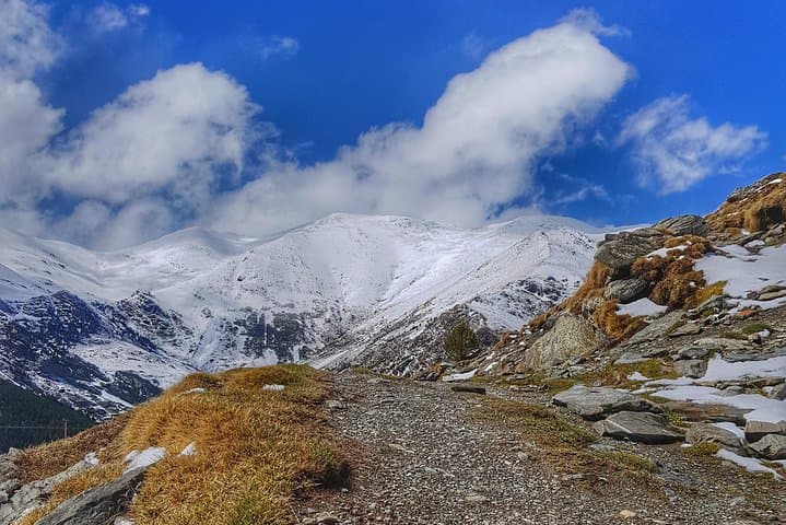 Walk a beautiful circuit in the heart of the Pyrenees whilst admiring the local wildlife.