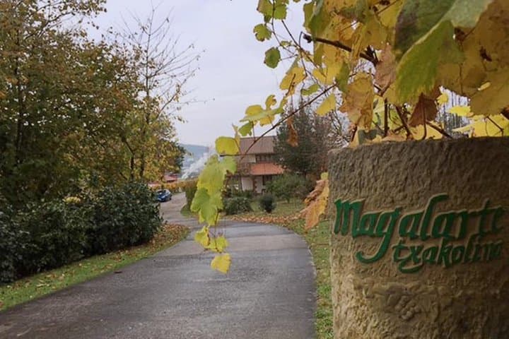 Guided tour of Txakoli wine tasting and tasting of wine and typical products