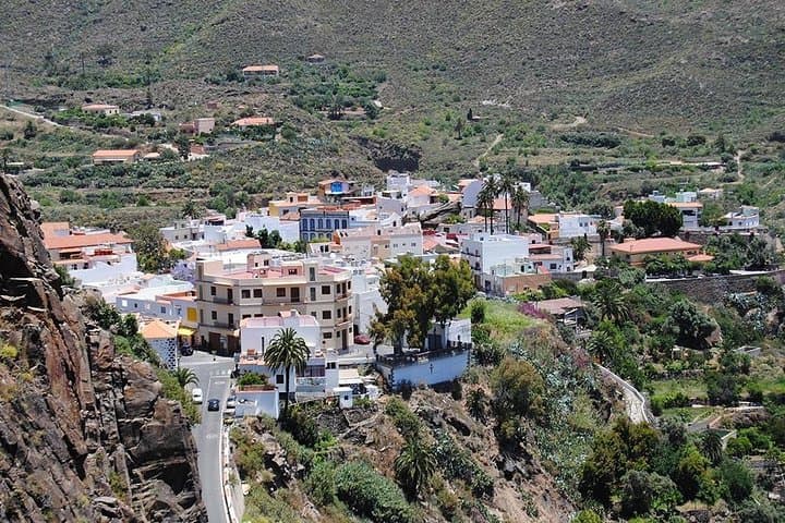Tastes of Fuerteventura Minivan VIP Tour