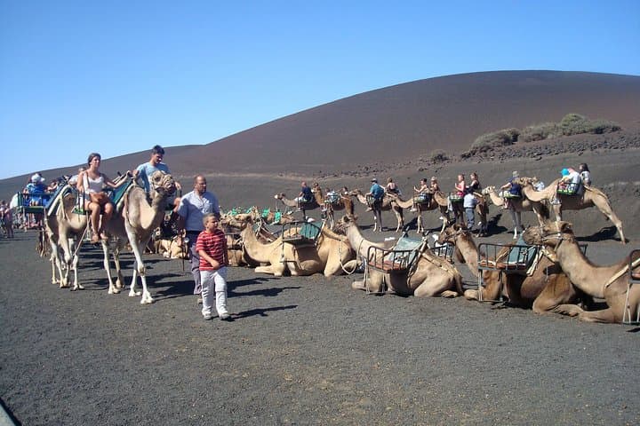 Full Day Tour to Timanfaya, Green Lagoon and La Geria