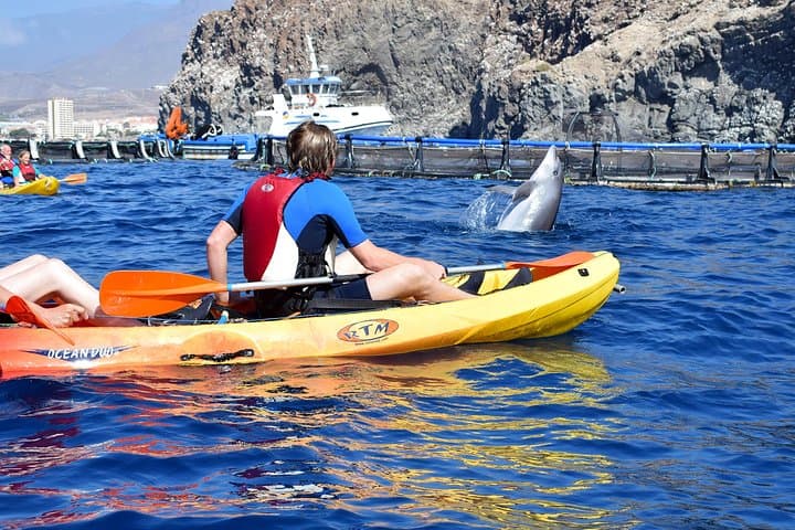 Tenerife: Turtle and Dolphin Kayak Tour with Snorkel and Wetsuit