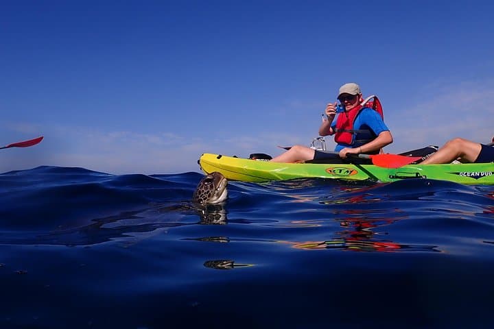 Tenerife: Turtle and Dolphin Kayak Tour with Snorkel and Wetsuit