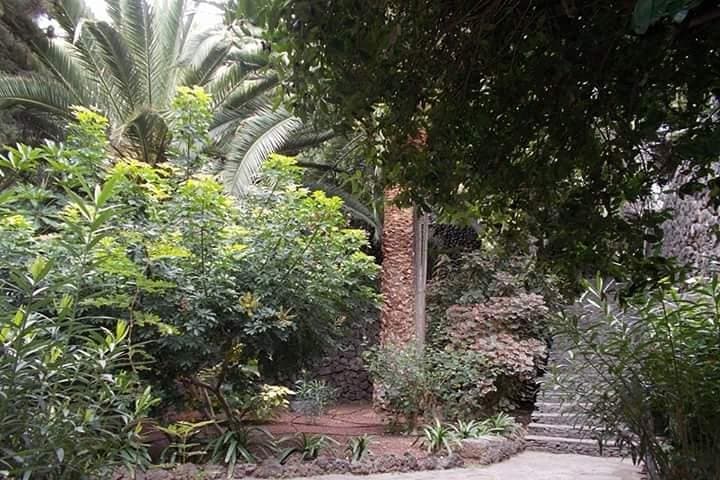 Tenerife:Round The Island Trip Without Teide Small-Group VIP TOUR