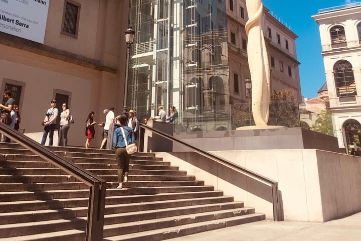 Reina Sofia Museum Tour: Skip-the-Line Tickets and Private Historian Guide