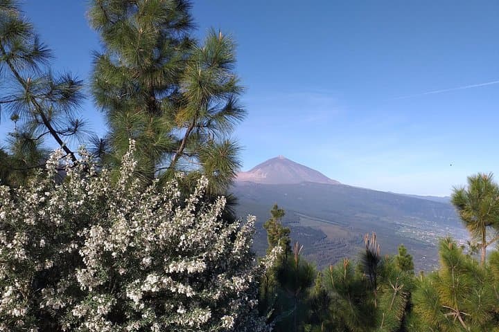 Teide from a view point