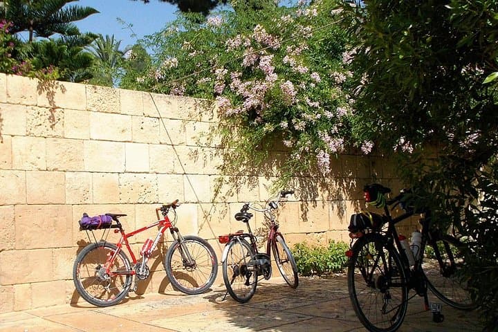 Private bike tour San Juan beach, Alicante