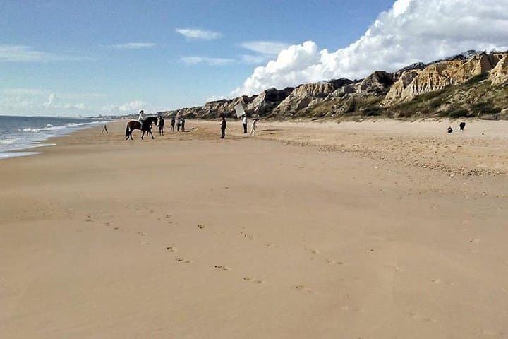 The immense beach of the hostel