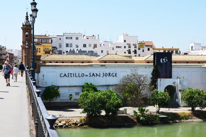 Arrival at the neighborhood of Triana