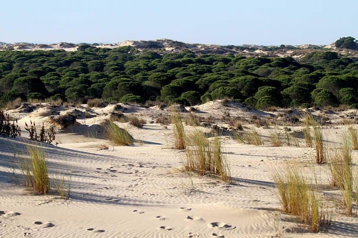 Doñana Natural Park