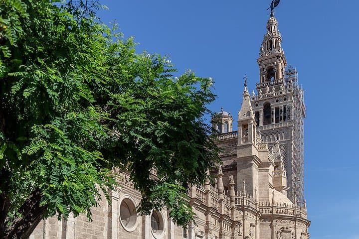 Walking tour through the monumental and historical area of Seville