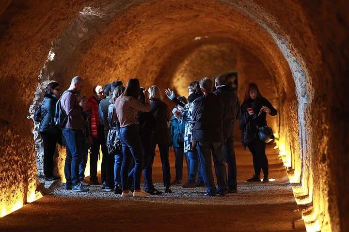 Guided Tour of Roman Tarragona