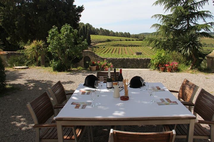 Wine & Cava Penedes Tour: Wineries, Wine Tasting and Tapas