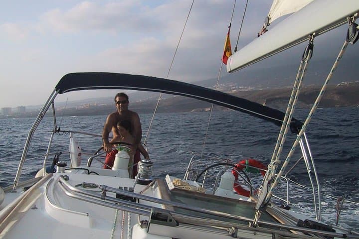 Tenerife 3-Hour Discover Whales and Dolphins