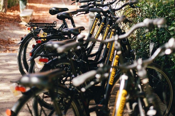 Bike Rental with Phone Holder and Self Guided Tour