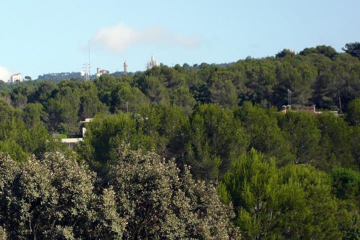 Natural Park of Collserola