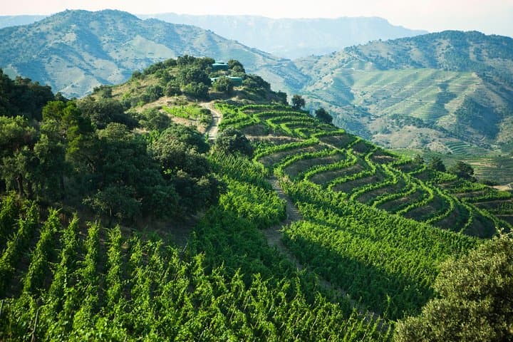 WINE TOUR PRIORAT: Visit 2 Top Wineries, Wine Tasting & Gourmet Lunch