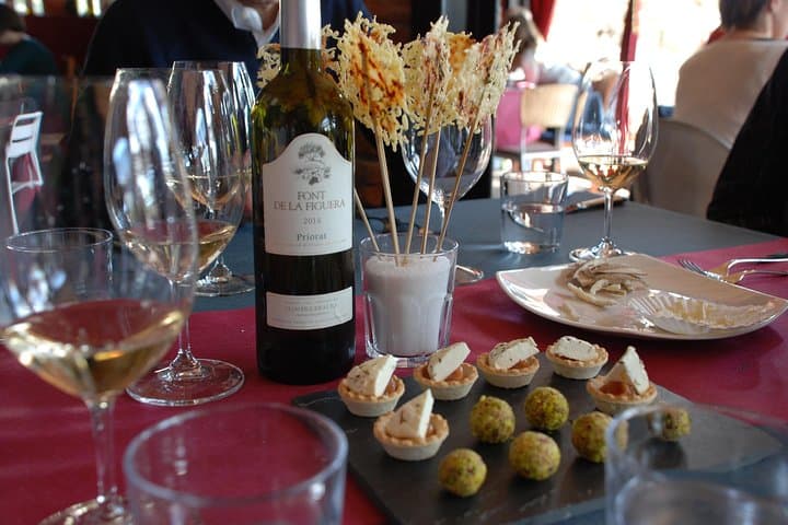 WINE TOUR PRIORAT: Visit 2 Top Wineries, Wine Tasting & Gourmet Lunch