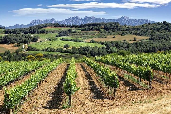 4 Hour Supercar Road Route to a Catalan Winery from Barcelona