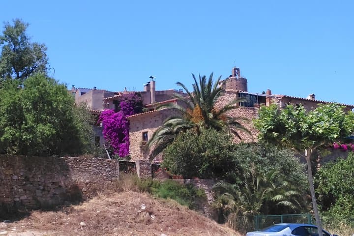 Pals Medival Village