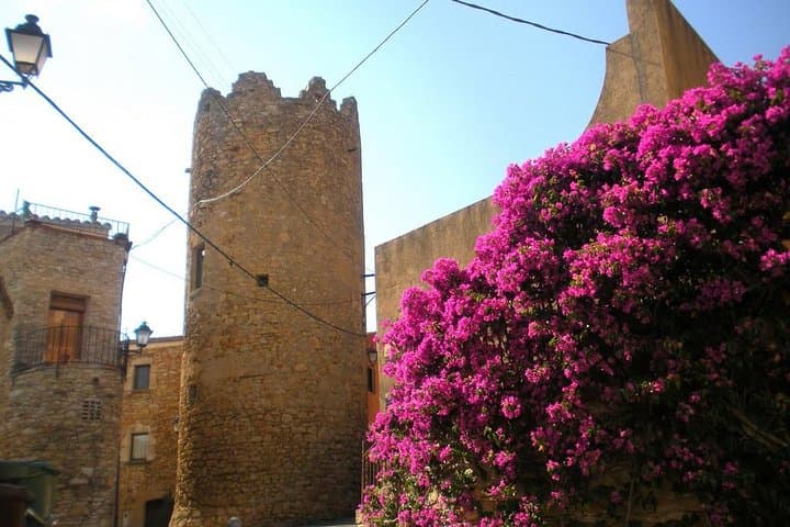 Tower from the XVI century