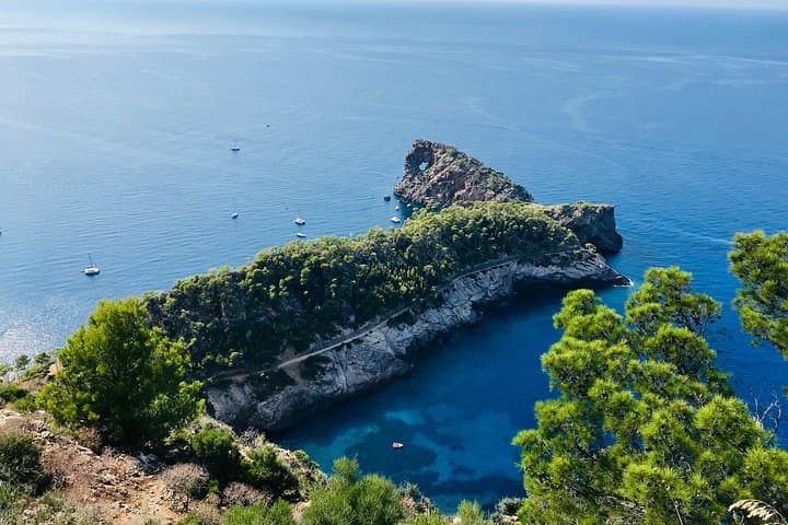 Explore Mallorca in Your Own Formula One Car