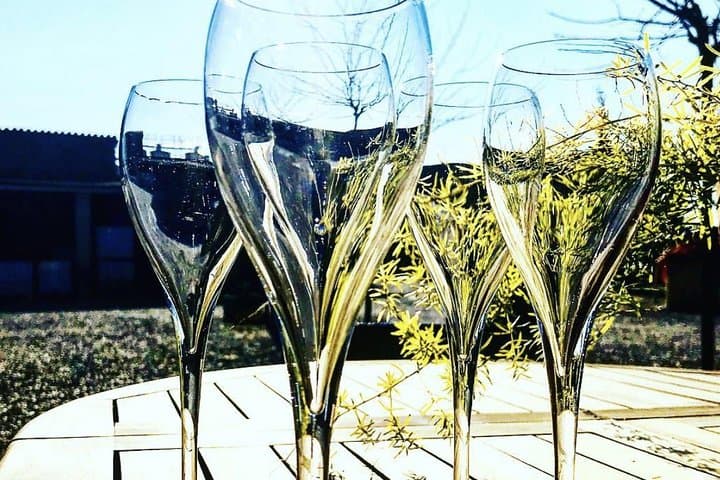 Wine Tasting