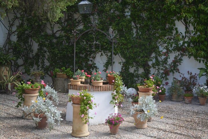Guided tour of the Viana Palace and its Patios