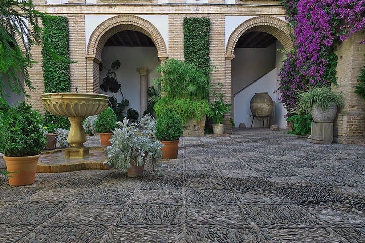 Guided tour of the Viana Palace and its Patios