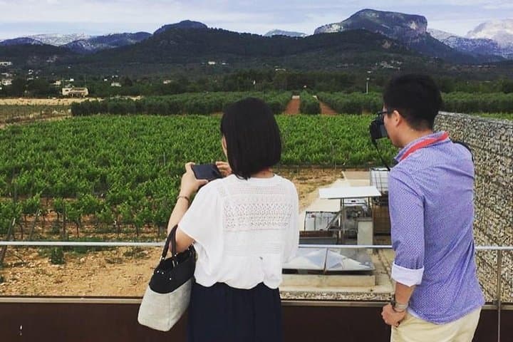 Sa Clasta Mallorca Wine Tours