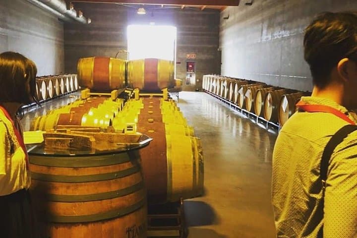 Sa Clasta Mallorca Wine Tours