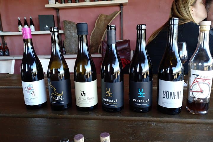 Wines Tasting and Typical Breakfast Small Group Tour from Girona
