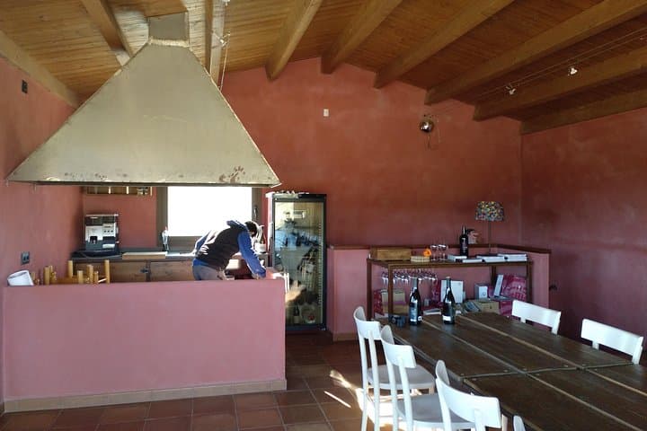 Wines Tasting and Typical Breakfast Small Group Tour from Girona
