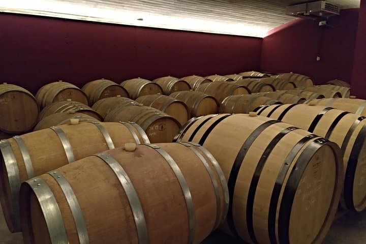 Wines Tasting and Typical Breakfast Small Group Tour from Girona