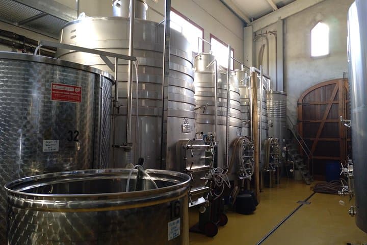 Wines Tasting and Typical Breakfast Small Group Tour from Girona