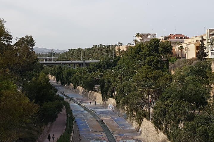 Views of the Palm Grove (UNESCO World Heritage Site)