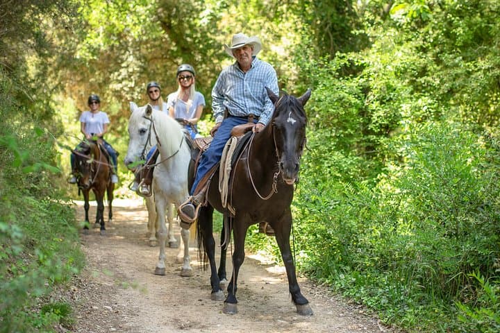 A guided horseback ride