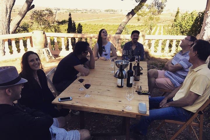 Valencia Wine Country Tour: Wineries, Lunch & Bobal Wines