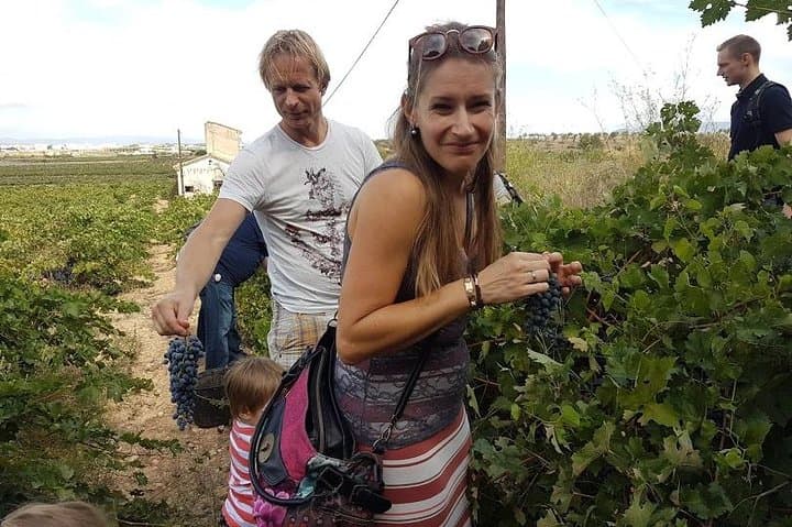 Valencia Wine Country Tour: Wineries, Lunch & Bobal Wines