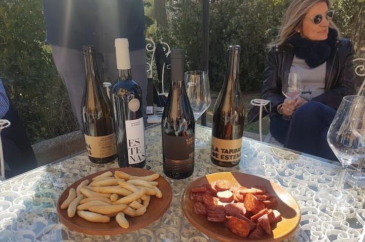 Valencia Wine Country Tour: Wineries, Lunch & Bobal Wines
