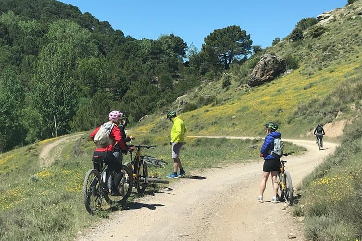 Sierra Nevada Ebike Tour Small Group
